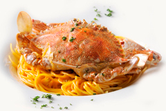 たっぷり野菜とイタリア小皿料理　The Olive Dining