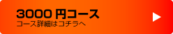 3000円コース