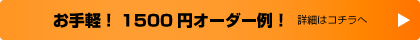 お手軽！1500円オーダー例！