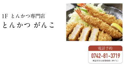 とんかつがんこ ならら